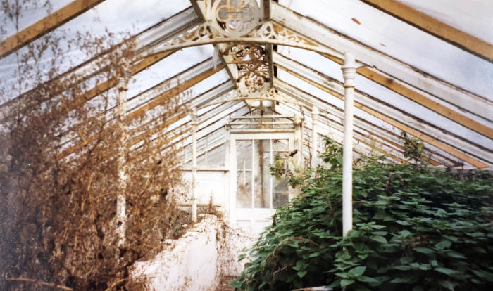 inside unrenovated glasshouses